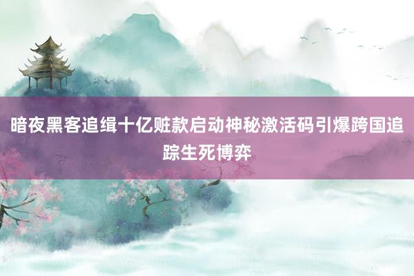 暗夜黑客追缉十亿赃款启动神秘激活码引爆跨国追踪生死博弈
