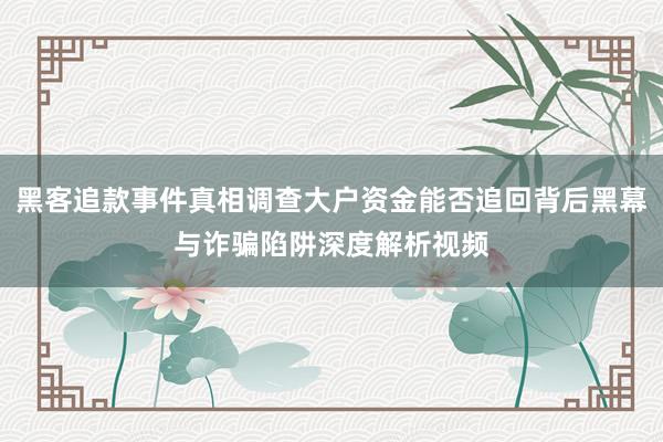 黑客追款事件真相调查大户资金能否追回背后黑幕与诈骗陷阱深度解析视频