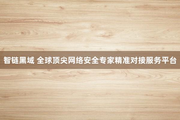智链黑域 全球顶尖网络安全专家精准对接服务平台